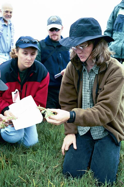 Laura Brophy teaching plant identification course to EPA EMAP staff