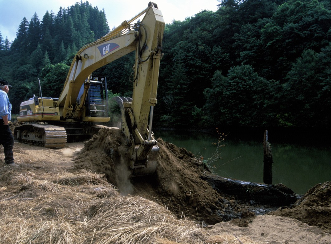 Diked marsh restoration, Yaquina estuary, Oregon USA