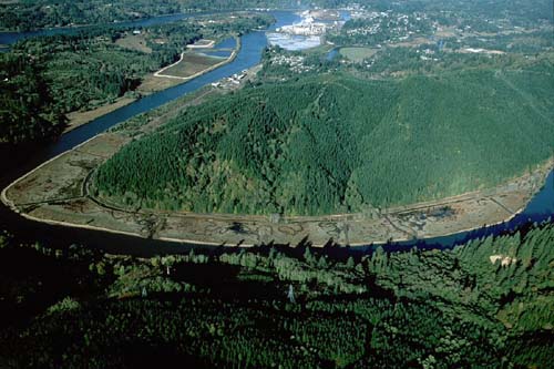 Tidal marsh restoration site, Yaquina estuary, Oregon USA