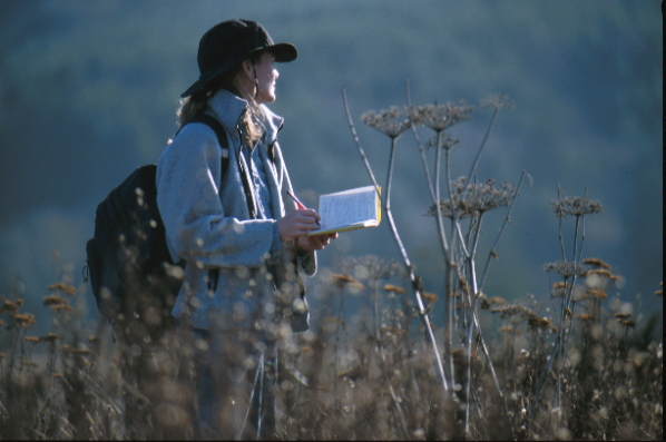 Plant community mapping, Siletz estuary, Oregon USA